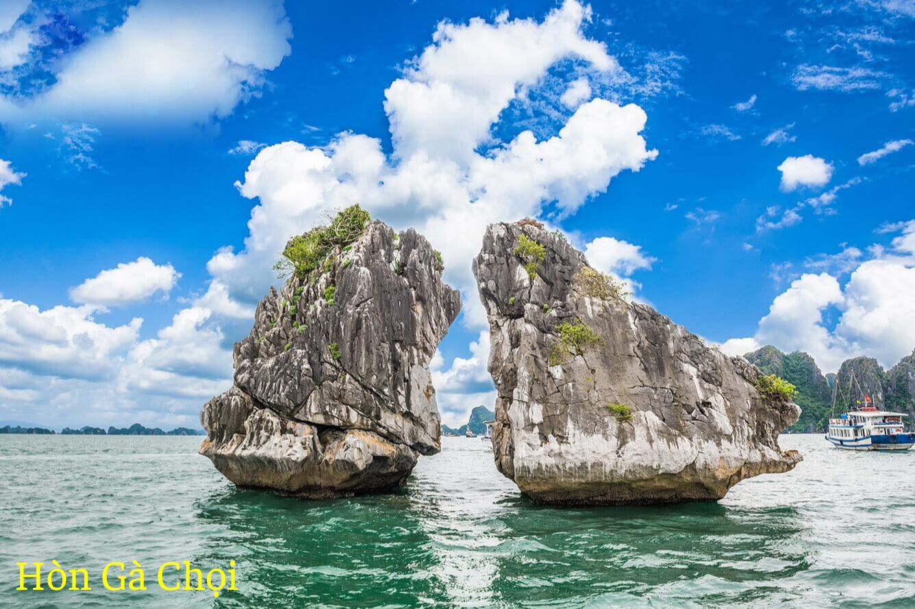 Thiết kế chưa có tên (18)